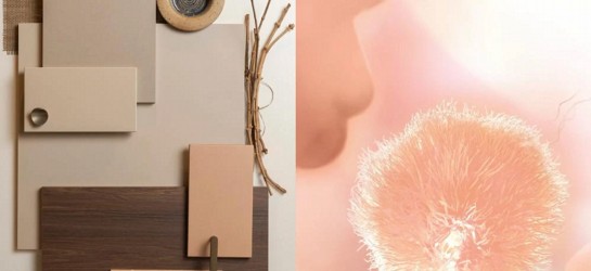 Cor Pantone 2024: Descubra a tendência desse ano